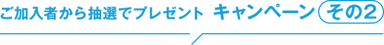 ご加入者から抽選でプレゼント キャンペーン  その2