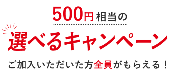 ご加入いただいた方全員がもらえる！