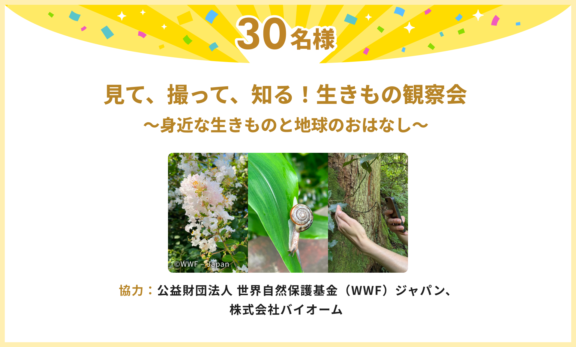 見て、撮って、知る！生きもの観察会～身近な生きものと地球のおはなし～
