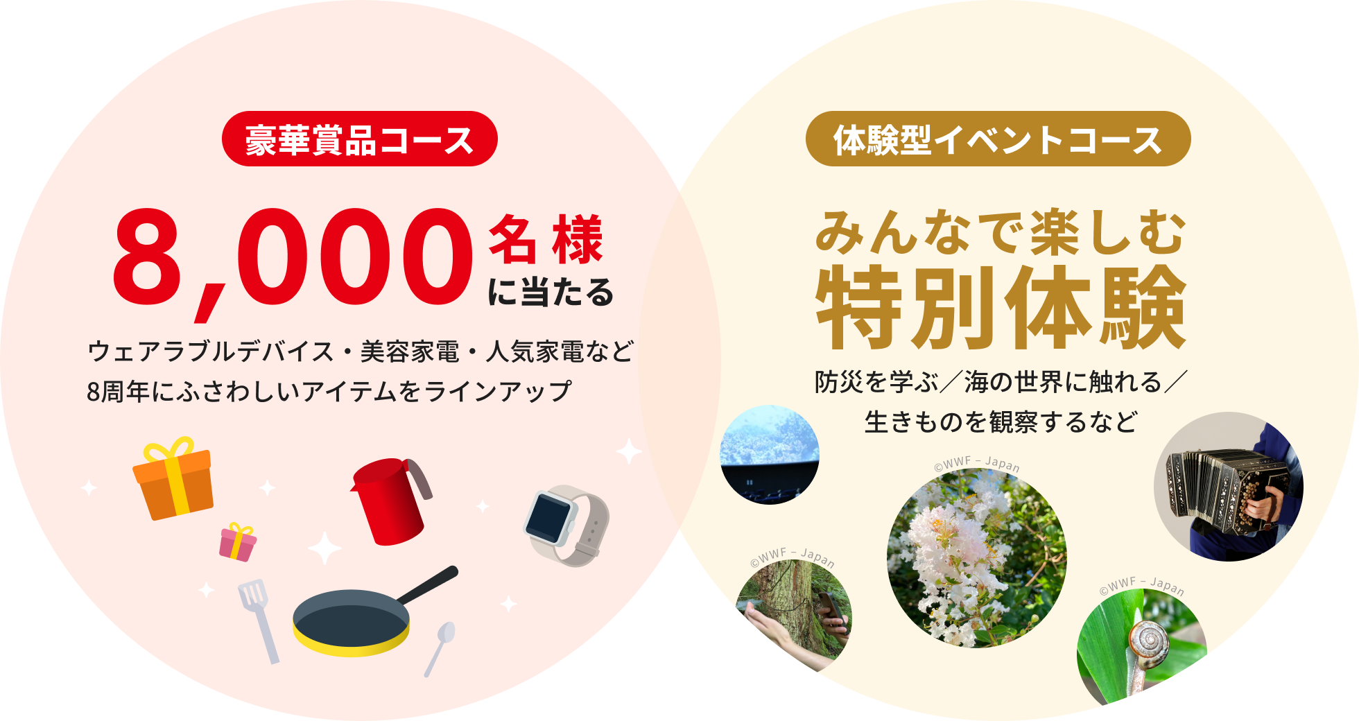 豪華賞品コース8,000名様に当たるウェアラブルデバイス美容家電・人気家電など8周年にふさわしいアイテムをラインアップ